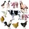 Schwein-Hühnerabfallaufbereitungs-Betriebsharmlose Beseitigung ASF kranke hoch leistungsfähig